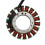 5EL-81410-00 Generator Stator Coil for XVS1100 VSt 4