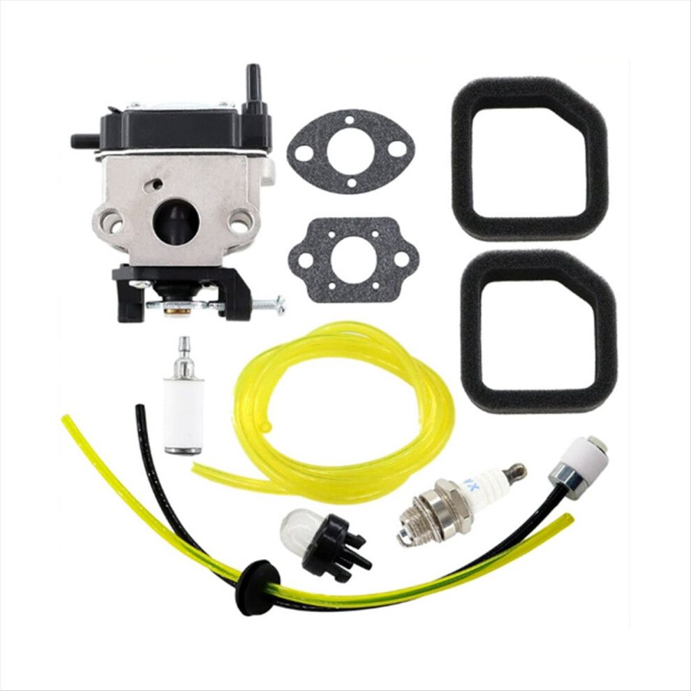 Leaf Blower Carburetor With Sparking Plug Air Filt 4851708548853