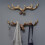 Vintage Deer Antlers Wall Hooks -28cm Mounted Clot 6