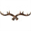 Vintage Deer Antlers Wall Hooks -28cm Mounted Clot 2