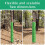 4PCS Tree Trunk Protector Plastic Spirals Guards T 9