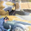 Paint Protection Paper - Surfacee Bulk Film Roll f 5