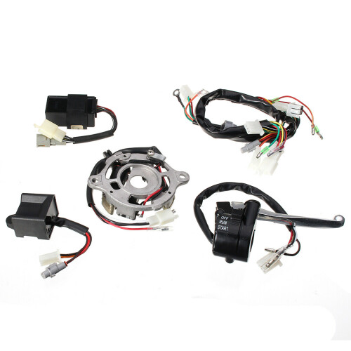 Motorcycle Wiring Harness Ignition Switch CDI Unit 1