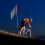 Adjustable Bicycle Flag with Pole for Safe Reflect 8