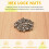 50pcs M2 Zinc Plated Self-Locking Nylon Insert Hex 9