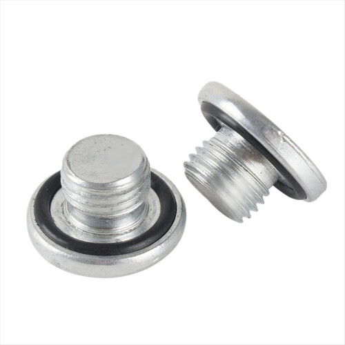 Auto Engine Parts Oil Drain Screw Primer Bolt for 2