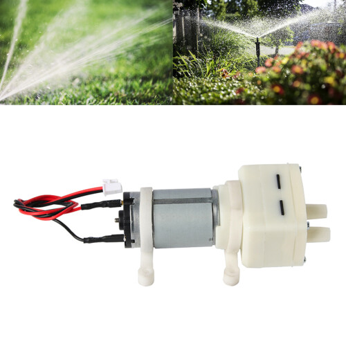 Distributeur d'eau électrique à courant continu 12v, petites 1