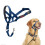 Halti Anti-traction leash for dog - Halti - Size 3 - Cobalt Blue - Padded muzzle - Reflective elements 1