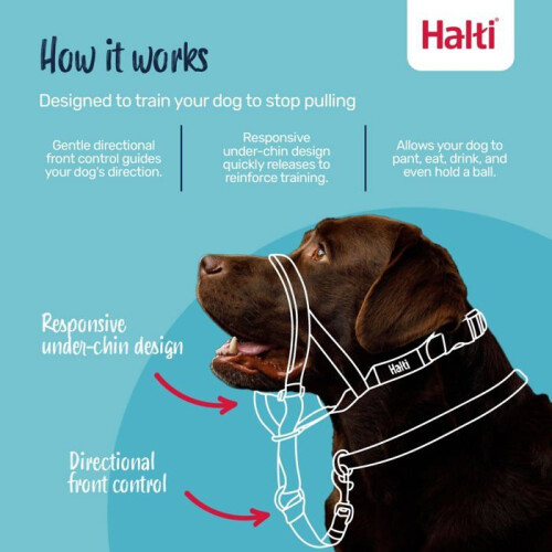 Halti Anti-traction leash for dog - Halti - Size 3 - Cobalt Blue - Padded muzzle - Reflective elements 2