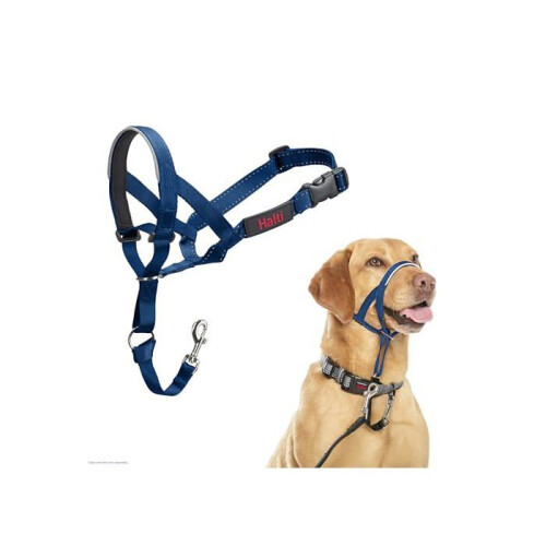 Halti Anti-traction leash for dog - Halti - Size 3 - Cobalt Blue - Padded muzzle - Reflective elements 1