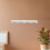 Puck Display Holder Wall Mounted: Sturdy Acrylic Rack With 4 Slots 5