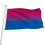 Bandeira sem gênero, design leve, adequada para áreas com pouco vento. 1
