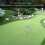 Karierte Golfloch-Pole-Cup-Flaggen, 15