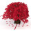Κάρτα Cherry Blossom3D Pop-Up, Ρομαντική ευχή για την ξεχωριστή σας περίσταση, Εξαιρετικός 1
