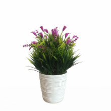 Selva tropical, arte de pared autoadhesivo, monos y árboles removibles para la decoración de la habitación infantil, pegatinas de vinilo para la