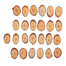 25Pcs Kiefer Oval Stück schräge DIY Hause Malerei