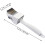 Multi Function Squid Cutter Kitchen Accessory - Easy Cutting Tool for Cuttlefish Chicken Gizzard Home Restaurant 2