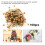 Strong Adhesion Self Adhesive Hook and Loop Fastener, Reusable Round Circle Dots for Organizing and Mounting, Versatile for Multiple Craft Projects 6