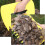 Leaf Collection Scoops 2 Pack PP Plastic Yard Cleanup Tools For Leaves Grass Clippings Branches Outdoor Debris 4