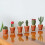 (Green, -) Cactichess Advanced Roll up Cactus Chess Set, Portable 8