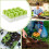 Ultrasonic Bark Controller No Bark Device | Automatic Dog Training Tool Silicone Seedling Pots Propagation Trays 5
