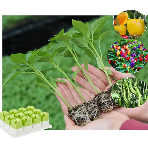 Ultrasonic Bark Controller No Bark Device | Automatic Dog Training Tool Silicone Seedling Pots Propagation Trays 2