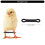 50/100 stuks Chick Spreader Beenbanden Verstelbare-100 3