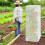 Pack Of 2 POLYETHYLENE Substance Plant Security Canopies-3 pack 3