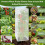 Pack Of 2 POLYETHYLENE Substance Plant Security Canopies-3 pack 5