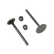 Dirt Bike Engine Valve Kit 60mm Bore with LeakProof Oil Seals for YX 150 160cc ATV Motorcycle