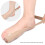 Eeltknobbels Correctorriem, Eeltknobbels-kleur S 6