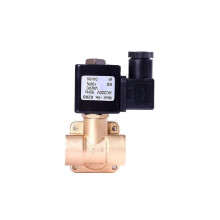 Normally Closed Brass Solenoid Valve, 240VAC, Viton Seal, 1/4 To 2 Inch, 1.6 MPa