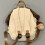 Student School Backpack Autumn Winter Travel Backpack Lovely 6