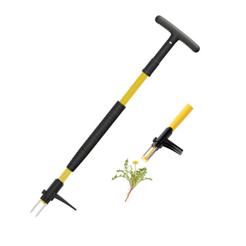 Désherbeur de jardinage, conception amovible, extraction de