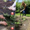 Désherbeur de jardinage, conception amovible, extraction de 7
