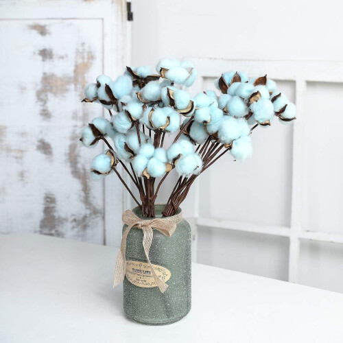 Είδη χειροτεχνίας DIY, φυσικό αποξηραμένο βαμβάκι για ρουστίκ διακόσμηση σπιτιού, 2