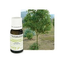 Pranarom Etherische Olie Ravintsara 10ml