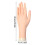 Realistic Silicone Mannequin Hand-Add support with lef 2