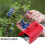 Portable Garden Fruit Harvesting Tool Plastic Blueberry-1 5