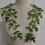 Patchs de couture verts, feuilles élégantes, feuillage, pour 6