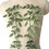 Patchs de couture verts, feuilles élégantes, feuillage, pour 4