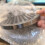 Modern Round Nonrust Steel Drip Catcher Nonslip-Diameter 100MM 4
