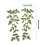 Oversized Leaf Applique Ethical Trend Diy Crafts for Jeans Hat 3