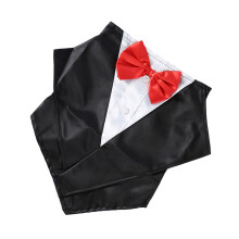 Huisdier Kraag voor Katten Honden Bruiloft Bandana Bowtie-Rood