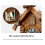 Plastic and Aluminum Construction Wall Cuckoo Clock with-color 5