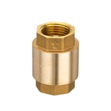 High Pressure 6 Inch Vertical Brass Check Valves-Double inside