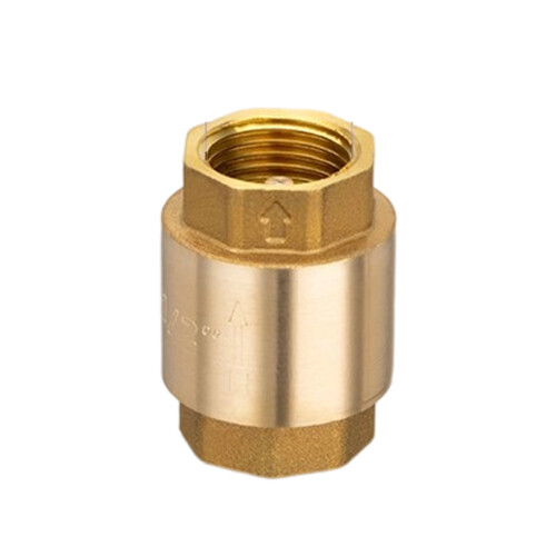 High Pressure 6 Inch Vertical Brass Check Valves-Double inside