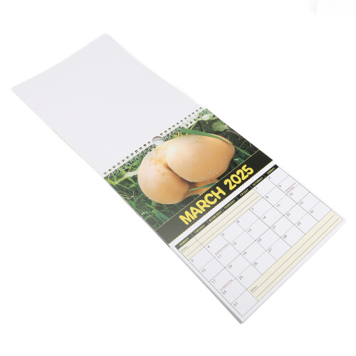 Kalender 2025 Innovativer 1