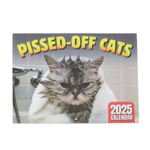 Kalender 2025 „Wütende Katze“, 28,5 x 21 cm,