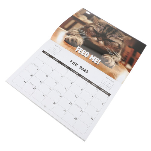 Kalender 2025 „Wütende Katze“, 28,5 x 21 cm, 2
